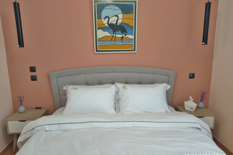 swan paradise glyfada