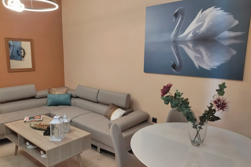 swan paradise glyfada